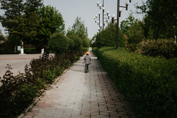 A little boy rides a scooter outdoors in a park among a green hedge. The view from the back. Minimalism.