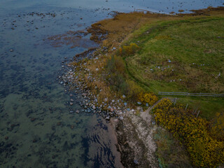 Aerial photo taken over Paljassaare Peninsula in Tallinn, Estonia, captures the land covered in shades of green and yellow foliage. The raw, untouched beauty of the peninsula’s shoreline. Baltic sea.