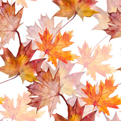 Autumn Leaves Pattern seamless. Motives on white and color background.