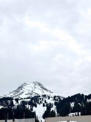 Snowy mountain peak with trees and blue cloudy sky 