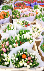 Display of colorful flower bouquets in Amsterdam.