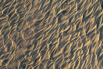 Golden light illuminates wind-sculpted patterns in beach sand, creating a mesmerizing, textured surface with organic shapes and flowing lines, evoking a warm, serene coastal ambiance.