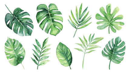 Watercolor Tropical Leaves Set   Green Foliage Collection for Design and Decoration