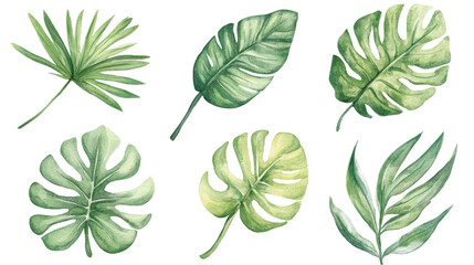 Watercolor Tropical Leaves Set   Palm  Monstera  Jungle Foliage  Botanical Illustration