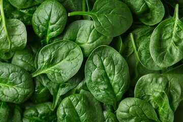 Obraz premium Fresh Green Spinach Leaves Healthy Organic Raw Vegetable
