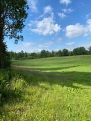 Obraz premium A picturesque open field in Finland under a clear blue sky with scattered clouds. Green grass stretches into the distance, framed by a forested edge.
