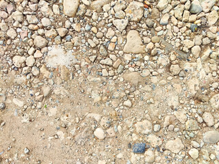 A rough gravel surface filled with various stones and pebbles provides an excellent backdrop for...