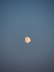 Mond