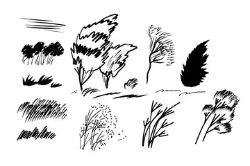 Trees bundle, Nature  Hand-drawn  Vector art