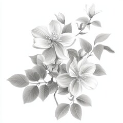Obraz premium Elegant White Floral Illustration on Soft Background