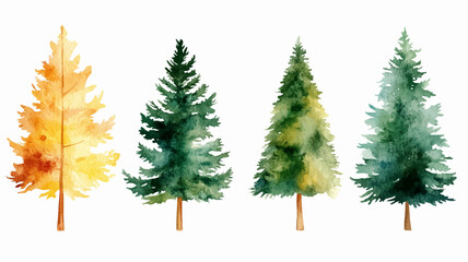 Christmas trees Vector watercolor illustration,Forest, fir trees, pine trees, woods watercolor illustration,colorful festival set