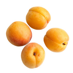 apricot
