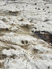  Close-up of a chalk rock surface with weathered holes and embedded pebbles, showcasing natural erosion patterns. 