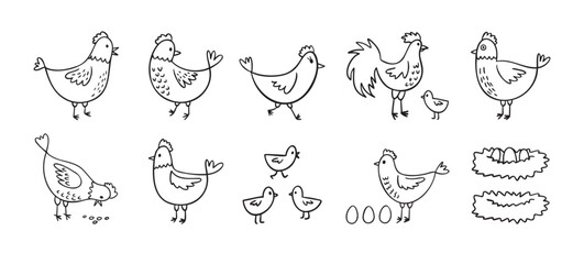 Hand drawn cute hen chickens set. Doodle farm chickens sketch style. Funny outline domestic birds, poultry concept.