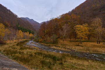 Colorful autumn in the mountains