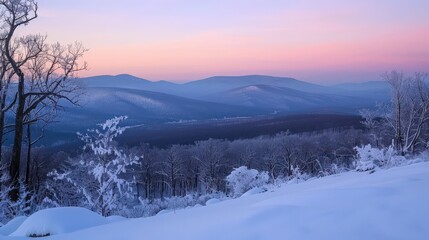 Serene Winter Landscape at Dusk