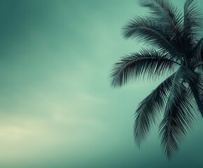 Palm tree sways in the wind as hurricane approaches coastal area at dusk