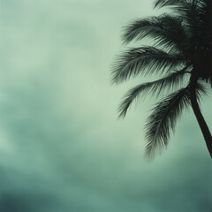 Hurricane approaching coastal area with dark clouds and palm trees