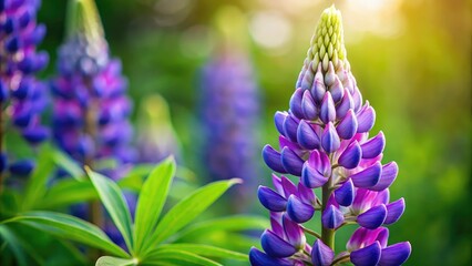 Lupine flowers burst into vibrant blooms, symbolizing natureâ€™s beauty and tranquility. They invite onlookers to embrace the serene artistry found in the great outdoors.