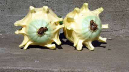Harvest of decorative pumpkins in a country house for interior design