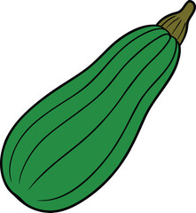 Zucchini Vector Art Illustration Fresh and Vibrant Vegetable Graphics for Creative Projects