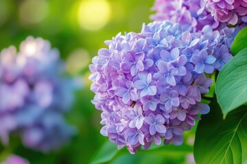 A close-up view of a vibrant purple flower bouquet