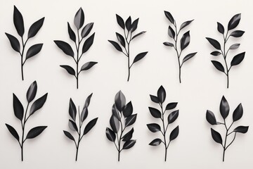 A group of black leaves arranged on a white surface, great for minimalist and modern designs