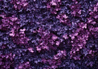Vibrant Purple and Lilac Floral Backdrop with Delicate Petals Creating a Lush and Rich Nature-Inspired Texture for Background Use