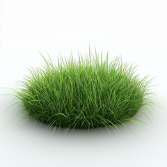 Lush Green Grass Patch on White Background