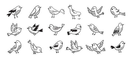 Obraz premium Bird doodle set. Birds hand drawn collection. Cute hand drawn bird doodles. Black on white drawing