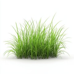 Obraz premium Lush Green Grass in Natural Setting