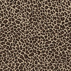 leopard print, jaguar, safari style, wild cat spots, fashionable modern design