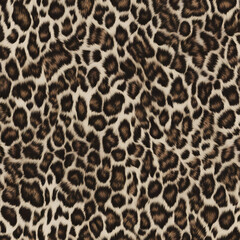 leopard print, jaguar, safari style, wild cat spots, fashionable modern design
