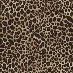 leopard print, jaguar, safari style, wild cat spots, fashionable modern design