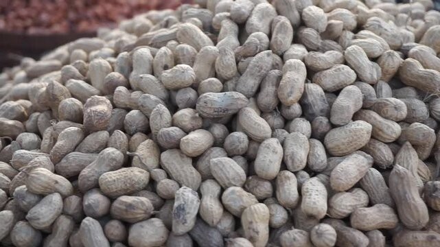 A heap of organic peanuts in shell being sold on street side, Closeup view of unpeeled roasted peanuts, A bunch of roasted peanuts in shell