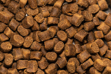 gros plan d'une photo de croquettes pour chien ou chat, fond uni de croquette pour chiens