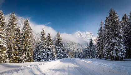 Fototapeta premium Snowy Mountain Passage
