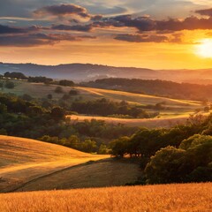 Fototapeta premium Sunset Over Rolling Hills of Golden Fields, Captured With a Vibrant Sky and Layers of Trees in the Distance for a Scenic Nature Landscape