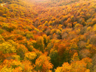 Lumière d'automne