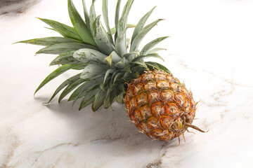 Tropical sweet exotic Pineapple fruit