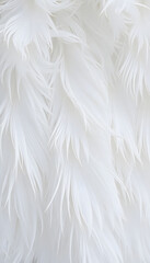 Obraz premium Beautiful white feather wooly pattern texture background, grunge