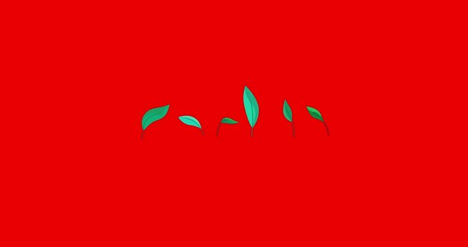 Cartoon six houseplant leaves redbox. Business style house or office interior plant leaf element good for explainer. Flat vector simple business style infographic seamless loop animation 4k video.