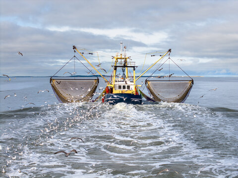 Aerial of fishing ship, boat trawling nets with gulls at Wadden sea