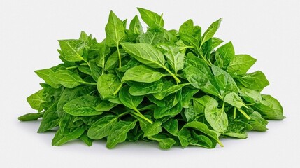 Obraz premium A photostock of freshly picked spinach leaves in a pile on isolated on transparent PNG background, High Quality.