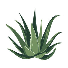 Fototapeta premium Cartoon aloe vera plant in a terracotta pot, perfect for home decor.