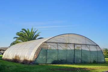 Invernadero de plástico en arco en finca