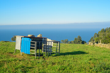 Comedero metálico para animales en pradera verde junto al mar
