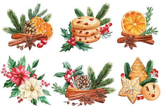 Arrangement set Orange, cinnamon, anise, flowers and pine cone isolated. Hand-painted watercolor gingerbread for holiday