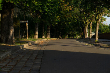 Strada acciottolata nel parco con alberi sullo sfondo.