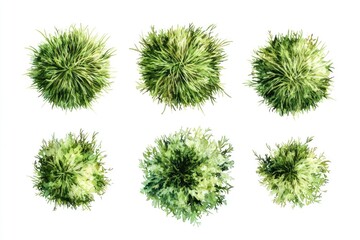 Fresh greenery on a clean white surface